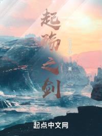 起殇之剑封面