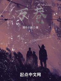 万巷封面