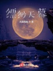 缥缈天幕封面