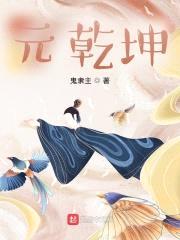 元乾坤封面