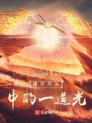 诸天尽头中的一道光封面