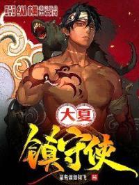 大夏镇守使封面