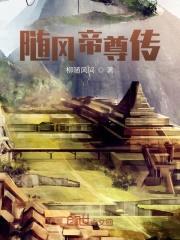 随风帝尊传封面