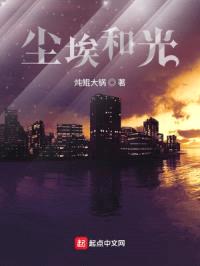 尘埃和光封面