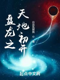 盘龙之天地初开封面