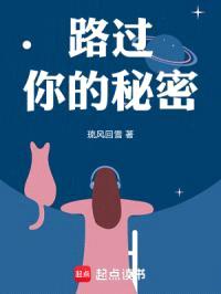 路过你的秘密封面