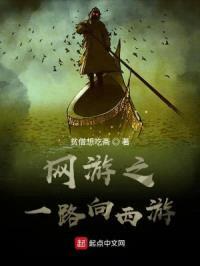 网游之一路向西游封面