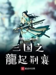 汉末之龙起荆襄封面