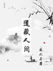 道藏人间封面
