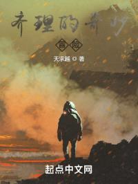 齐理的奇妙冒险封面