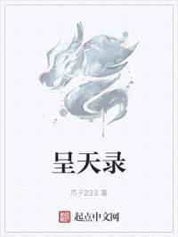 呈天录封面