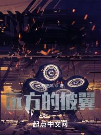 远方的彼翼封面