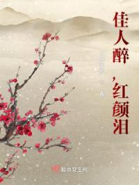 佳人醉，红颜泪封面