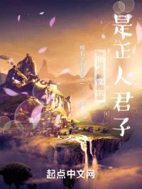 我，魔宗，是正人君子封面