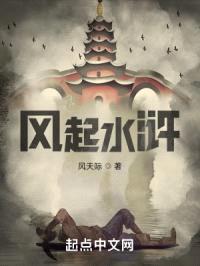 风起水浒封面