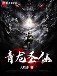 青龙圣仙封面