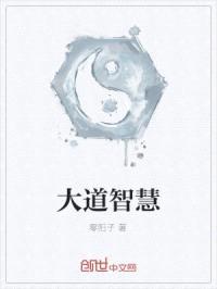 大道智慧封面