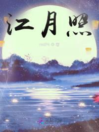 江月照封面