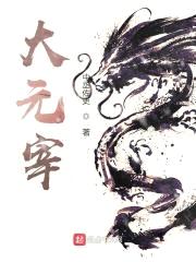 大元宰封面