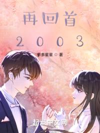 再回首2003封面
