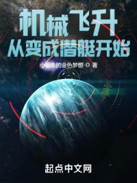 机械飞升从变成潜艇开始封面