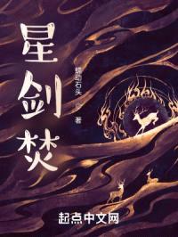 星剑焚封面