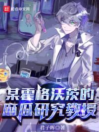 某霍格沃茨的麻瓜研究教授封面