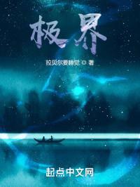 极界封面