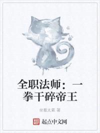 全职法师：一拳干碎帝王封面