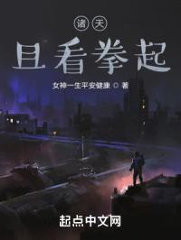 诸天：且看拳起封面