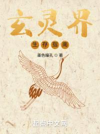 玄灵界生存指南封面