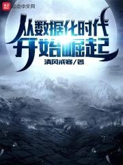 从数据化时代开始崛起封面