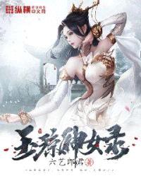 玉琼神女录封面