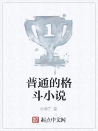 普通的格斗小说封面