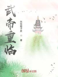 武帝重临封面