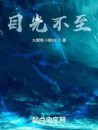 目光不至封面