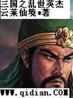 三国之乱世英杰封面