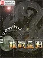 龙战星野封面