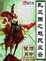 乱三国之赵氏风云封面