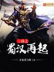 三国之蜀汉再起封面